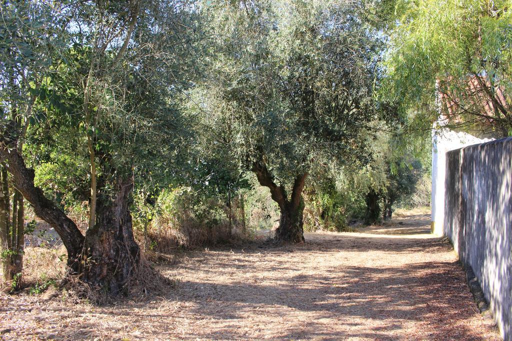 Quinta Do Valle Tomar Exterior photo