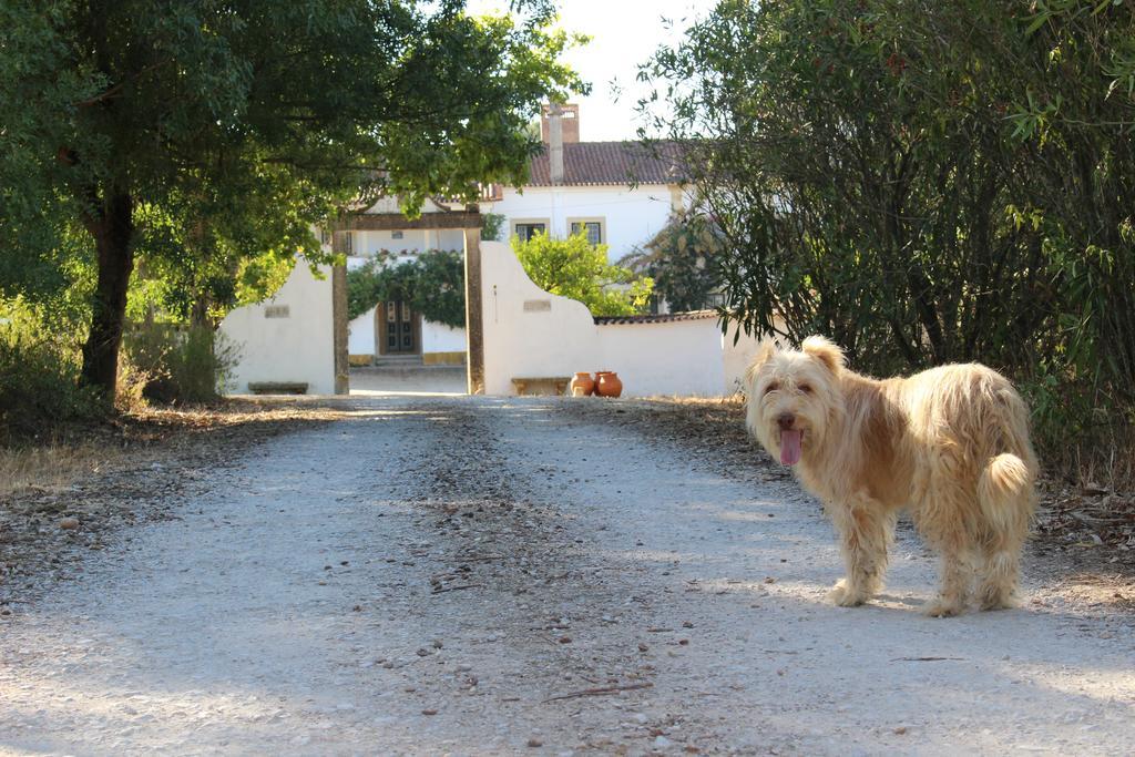 Quinta Do Valle Tomar Exterior photo